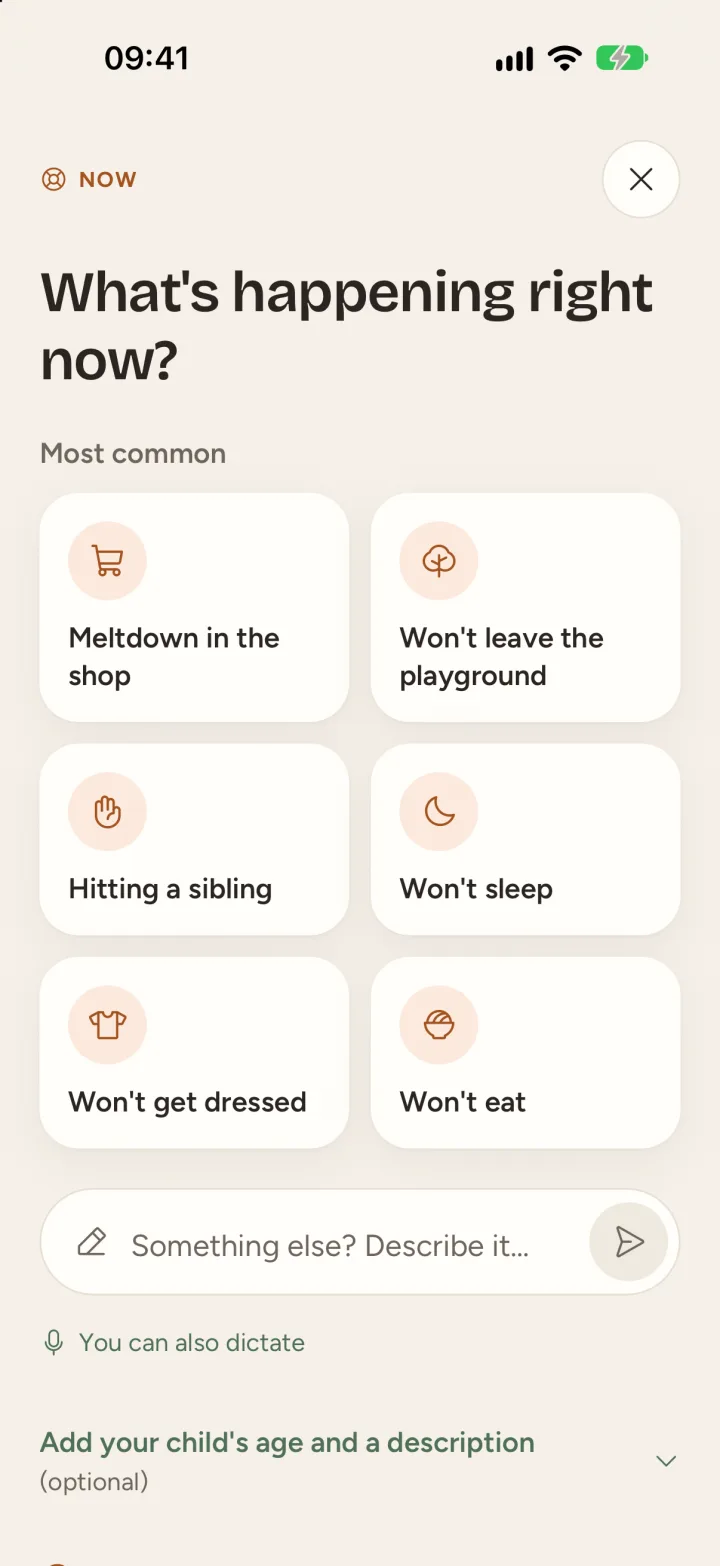 Help now: common situations and a box to describe your own